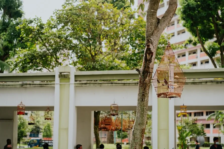 J & W wedding photo 15