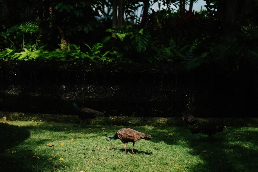 J & W wedding photo 46