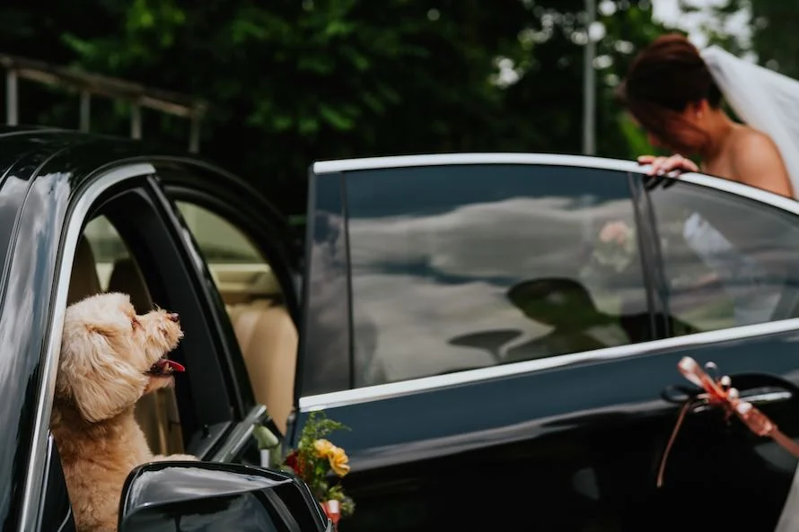 J & W wedding photo 22