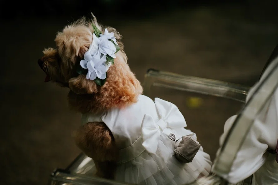 J & W wedding photo 52