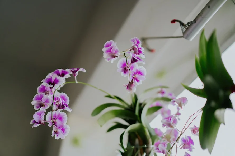 J & W wedding photo 50