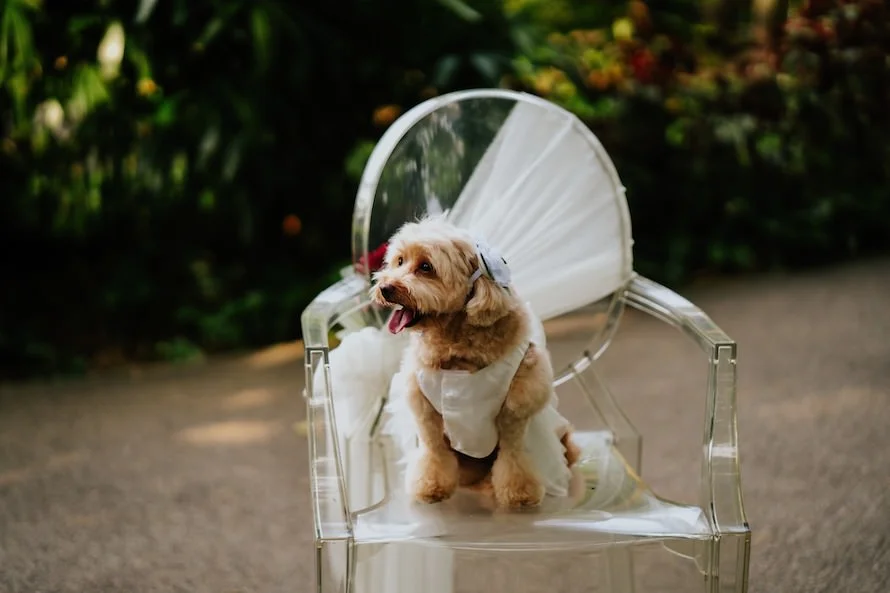 J & W wedding photo 6