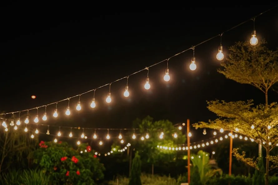 D & D wedding photo 214