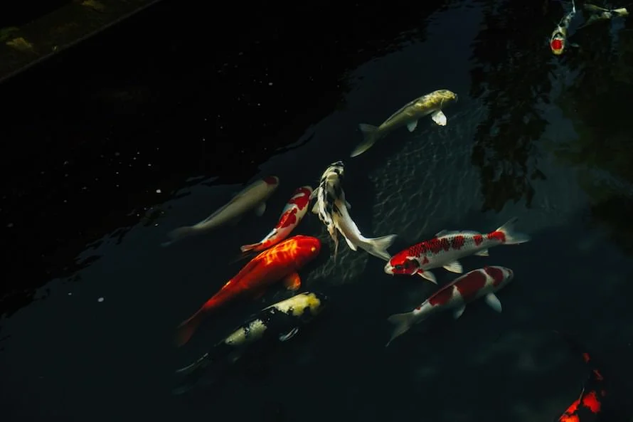 D & D wedding photo 189