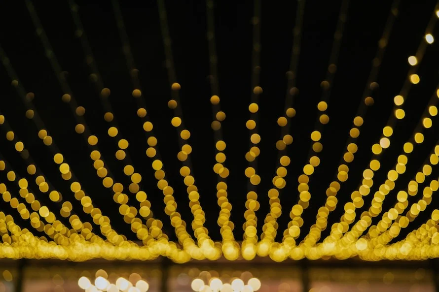 D & D wedding photo 106