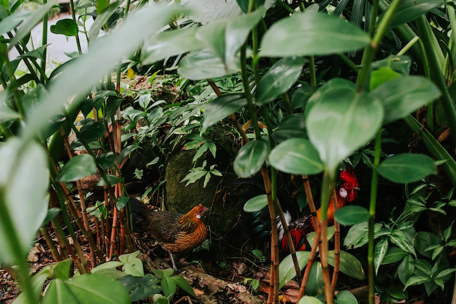 E & I wedding photo 62