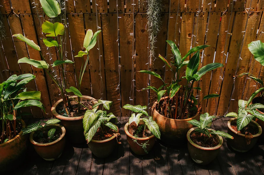 E & I wedding photo 50