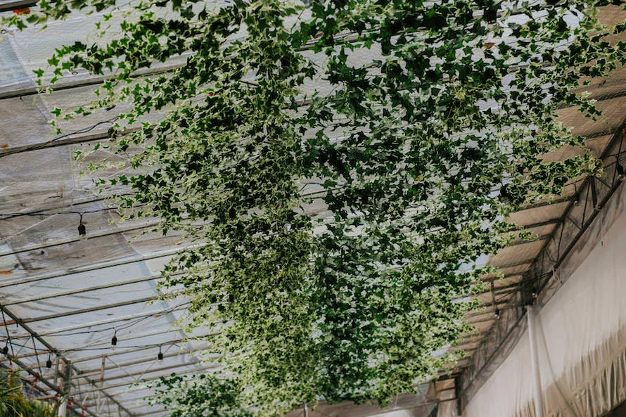 E & I wedding photo 47