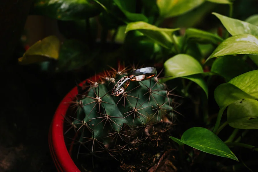 E & I wedding photo 3