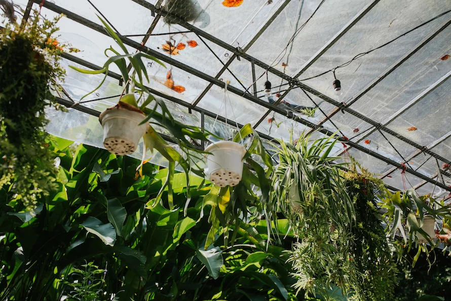 E & I wedding photo 29