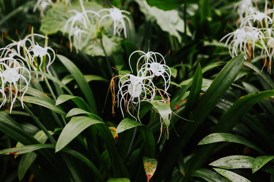 E & I wedding photo 35