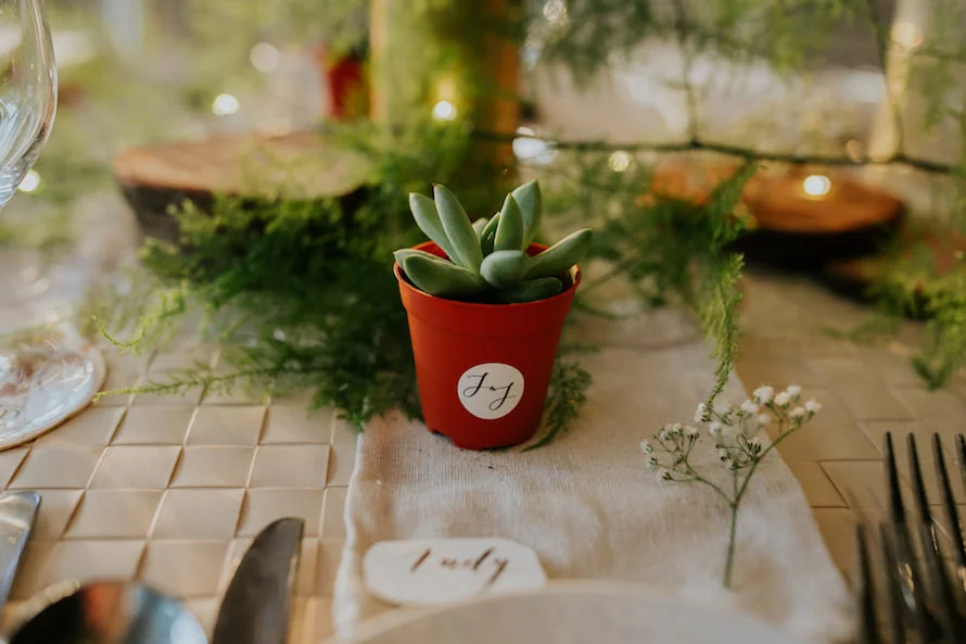 J & J wedding photo 55