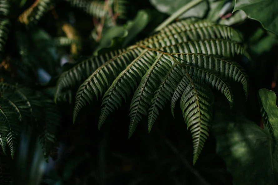 J & J wedding photo 3