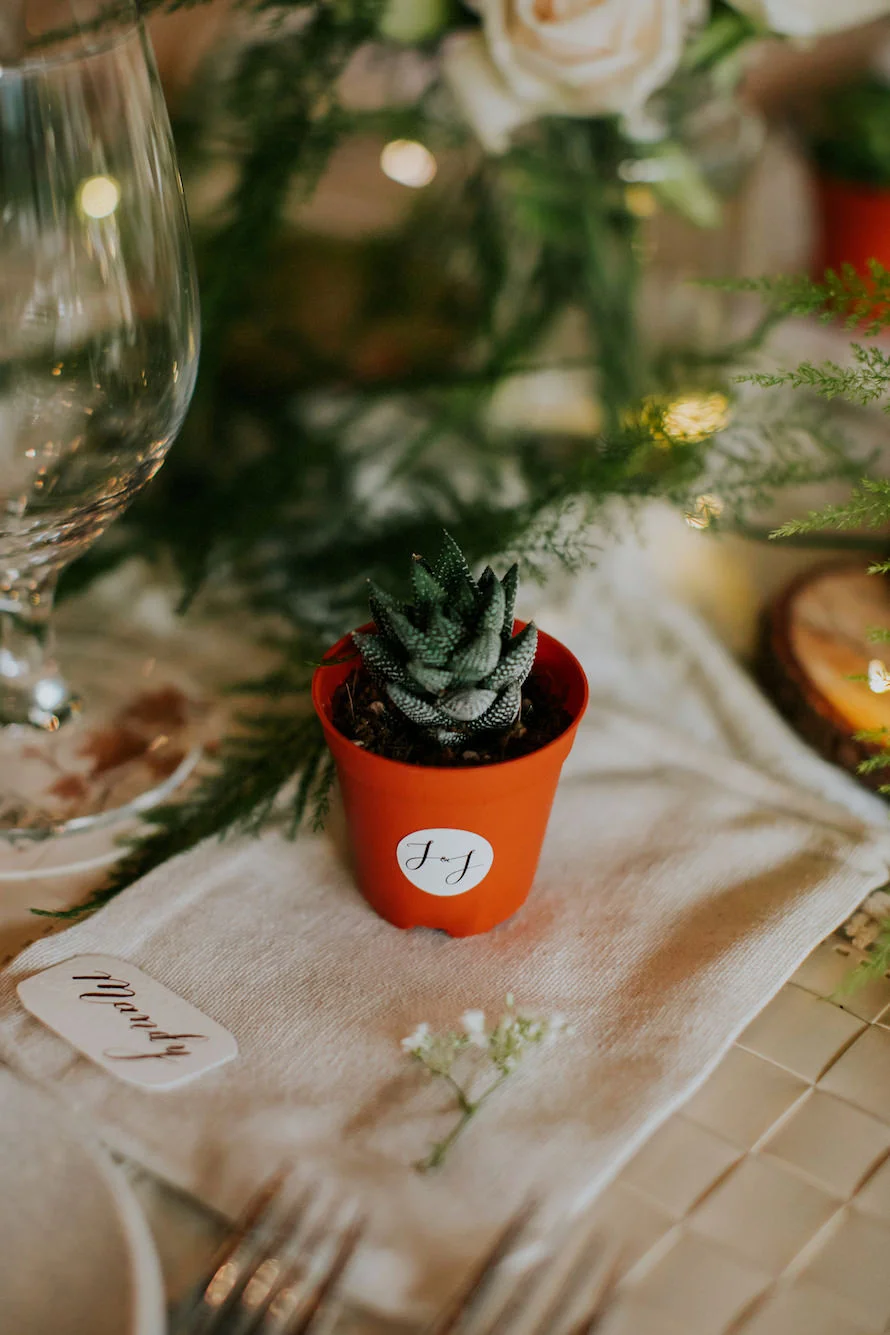 J & J wedding photo 83