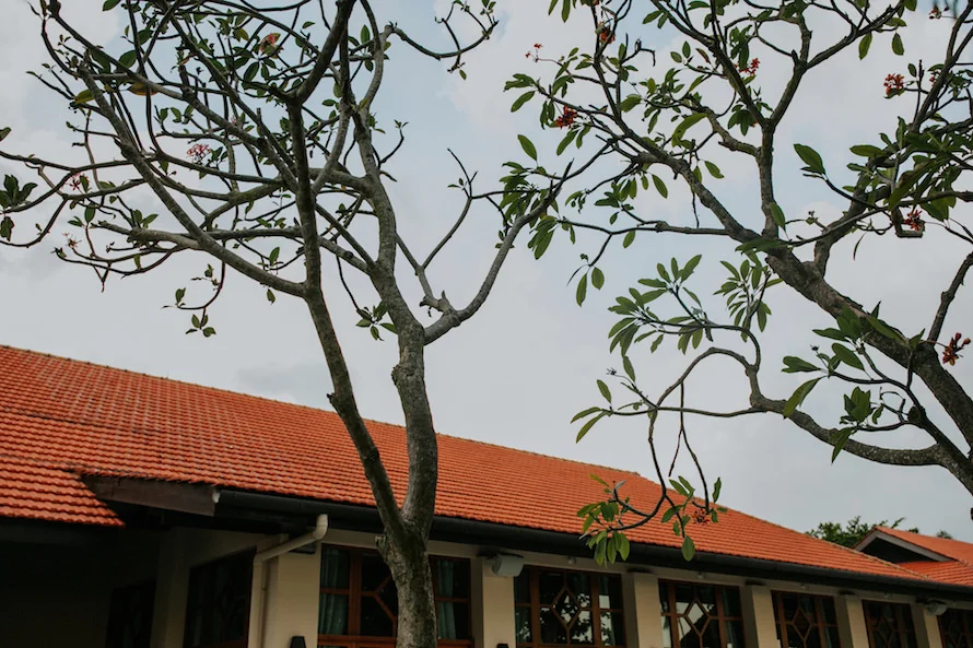 C & F wedding photo 66