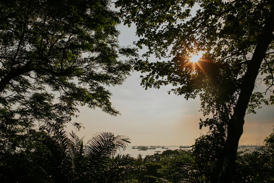 C & F wedding photo 10