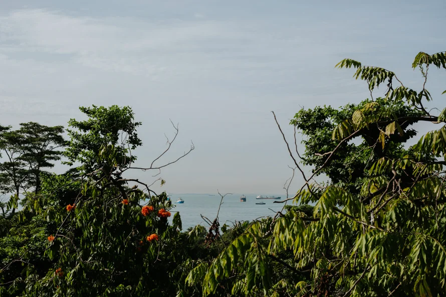 C & K wedding photo 40