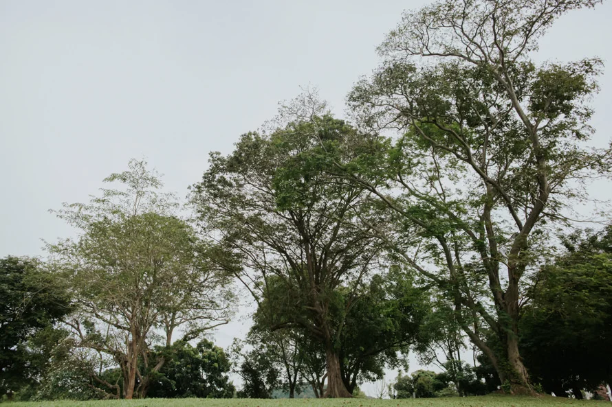 C & K wedding photo 55