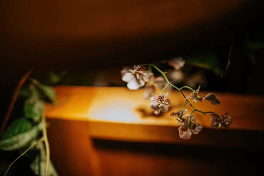 S & R wedding photo 28