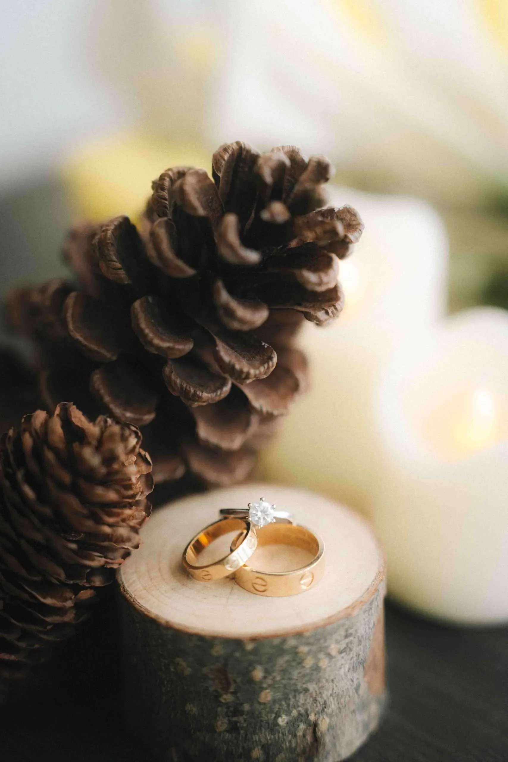 D & H wedding photo 49