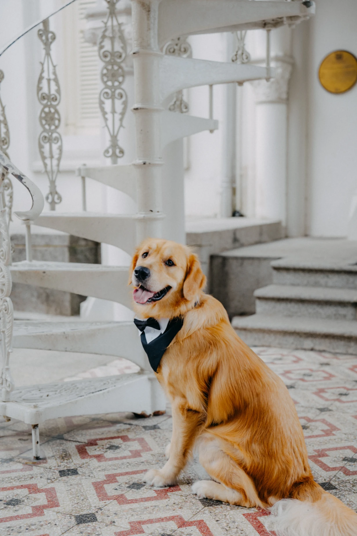 E & J wedding photo 39