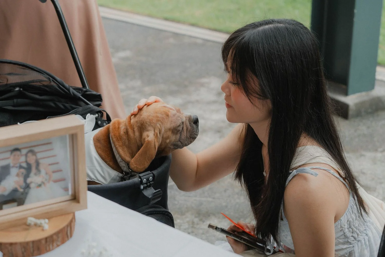 S & C wedding photo 49