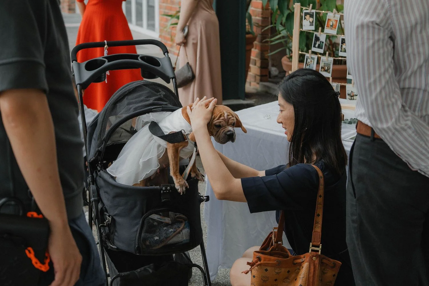 S & C wedding photo 48