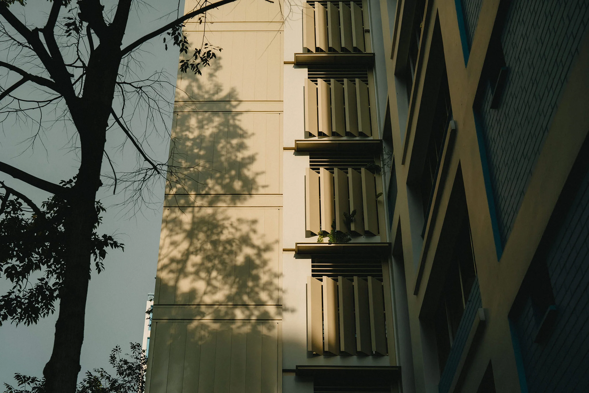 S & I wedding photo 2