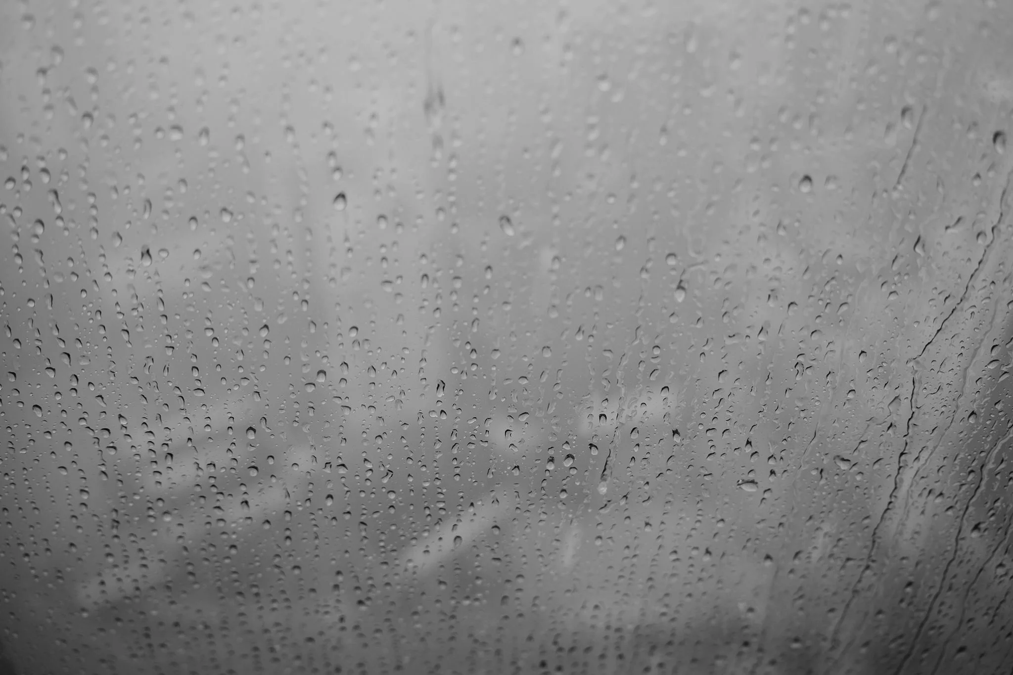 D & N wedding photo 85