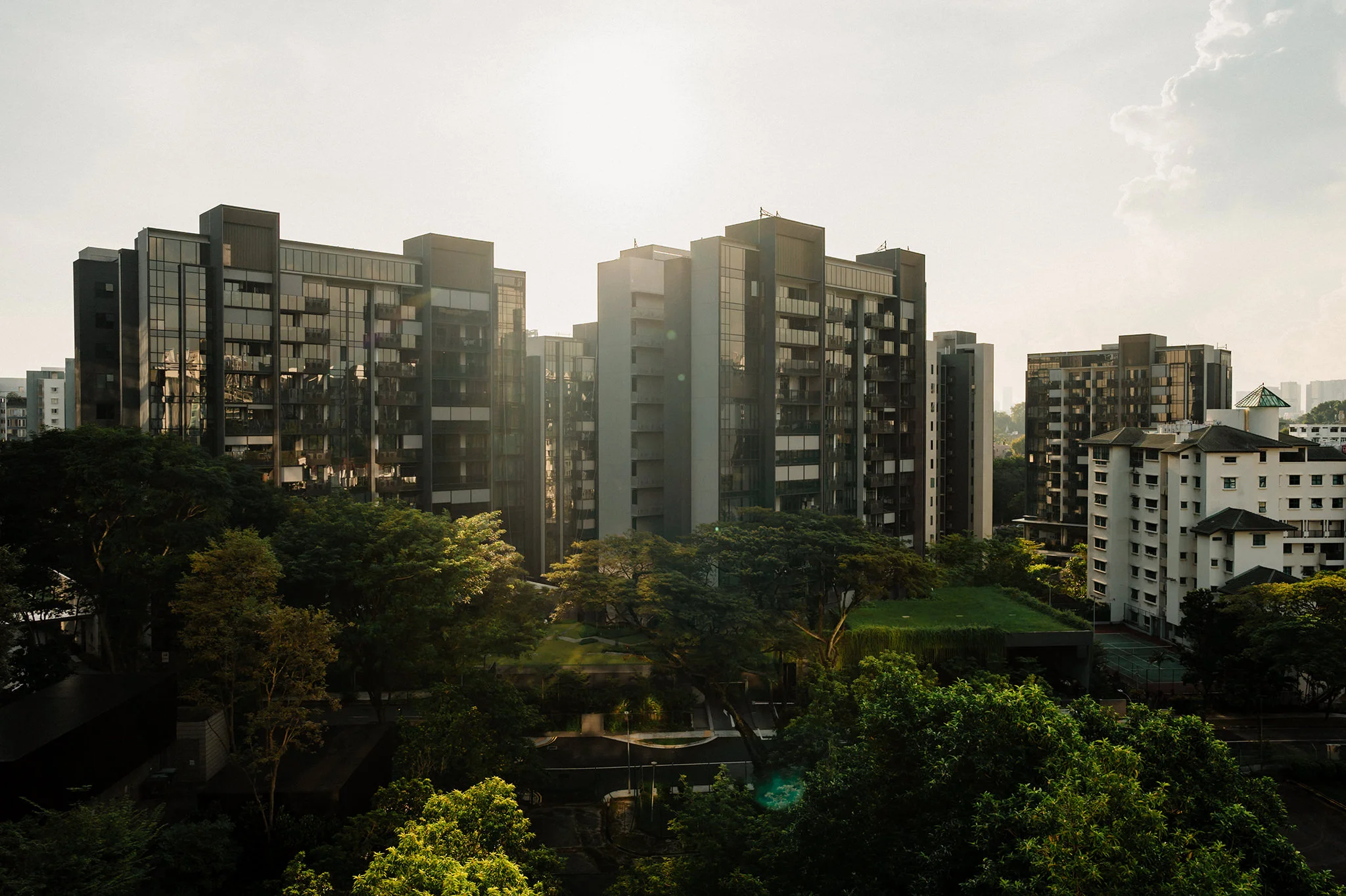 D & N wedding photo 2