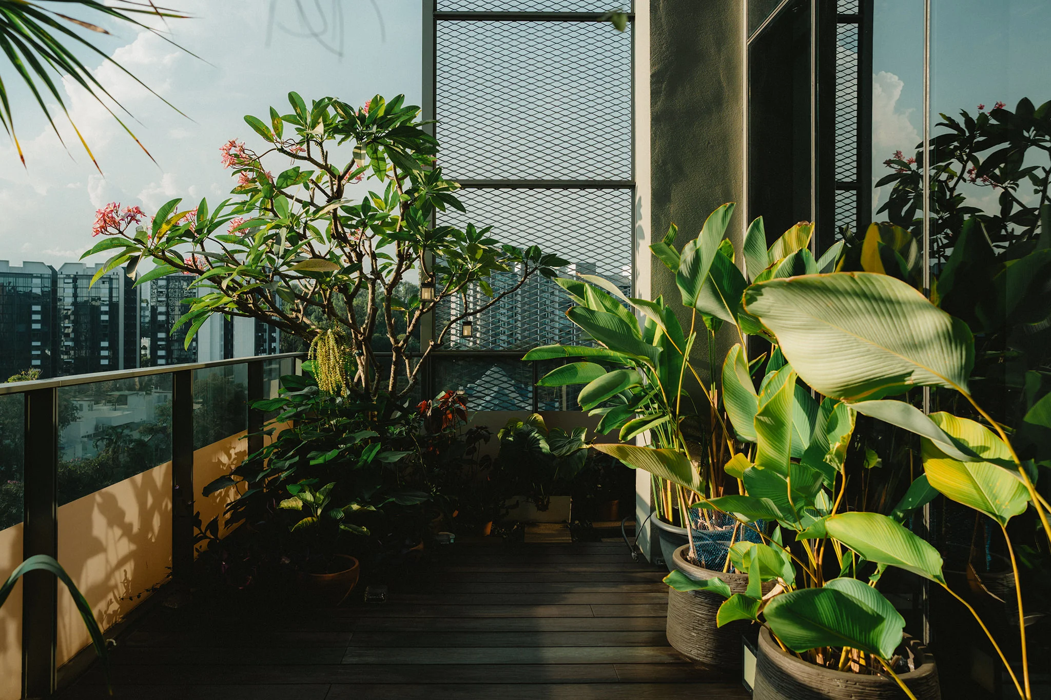 D & N wedding photo 3