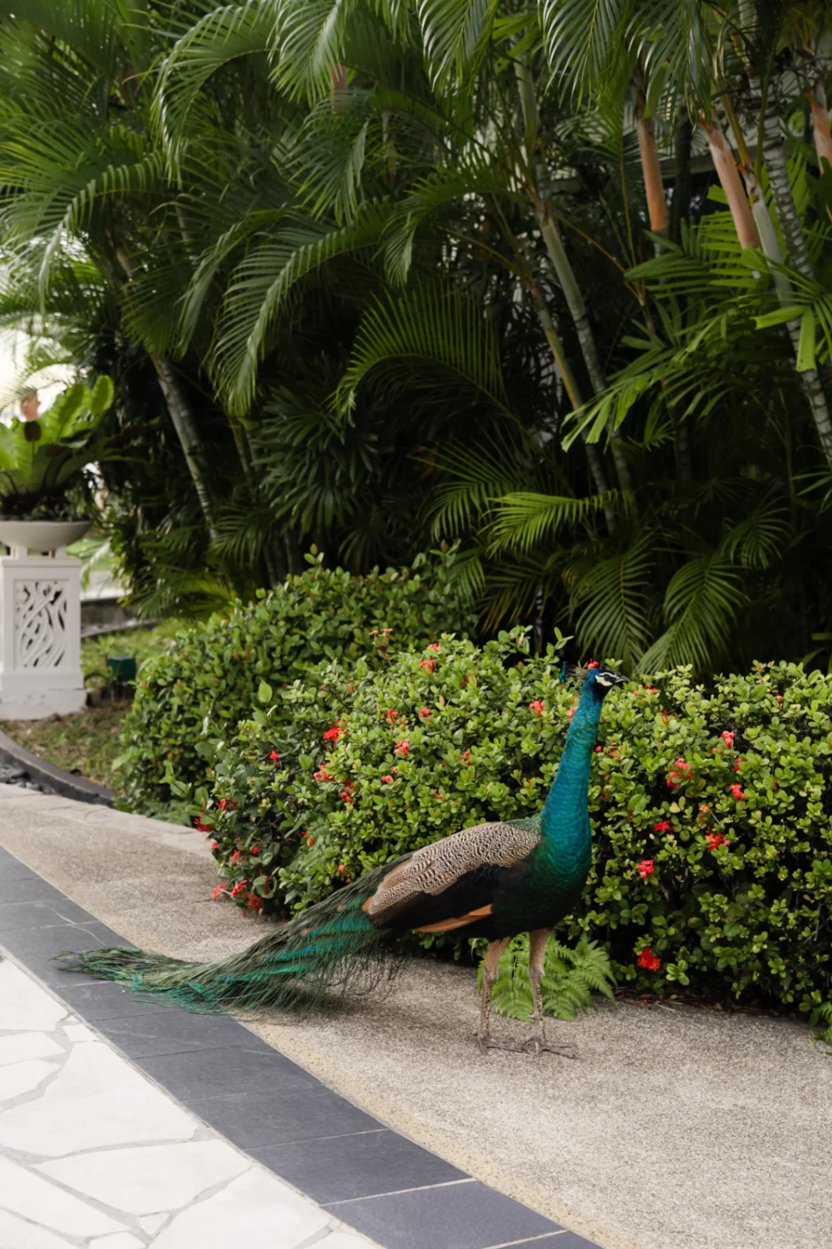 J & D wedding photo 1