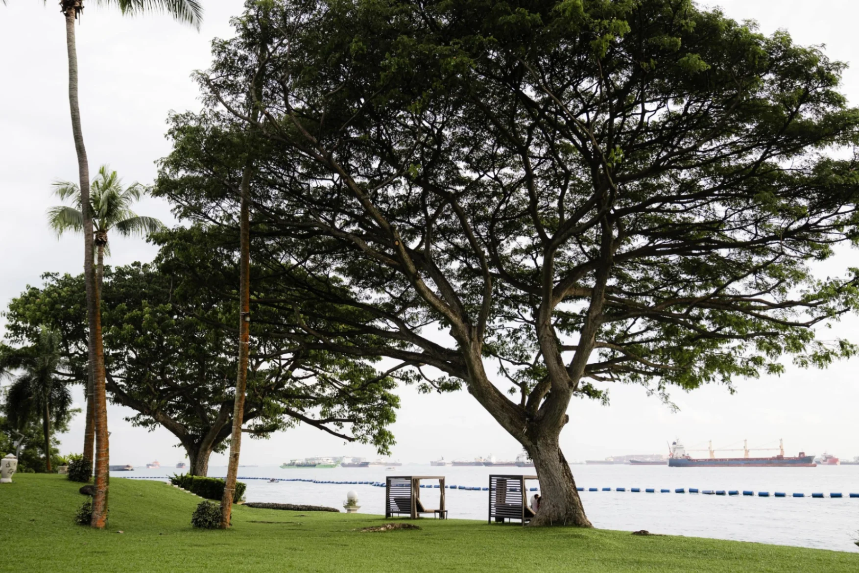 J & D wedding photo 9