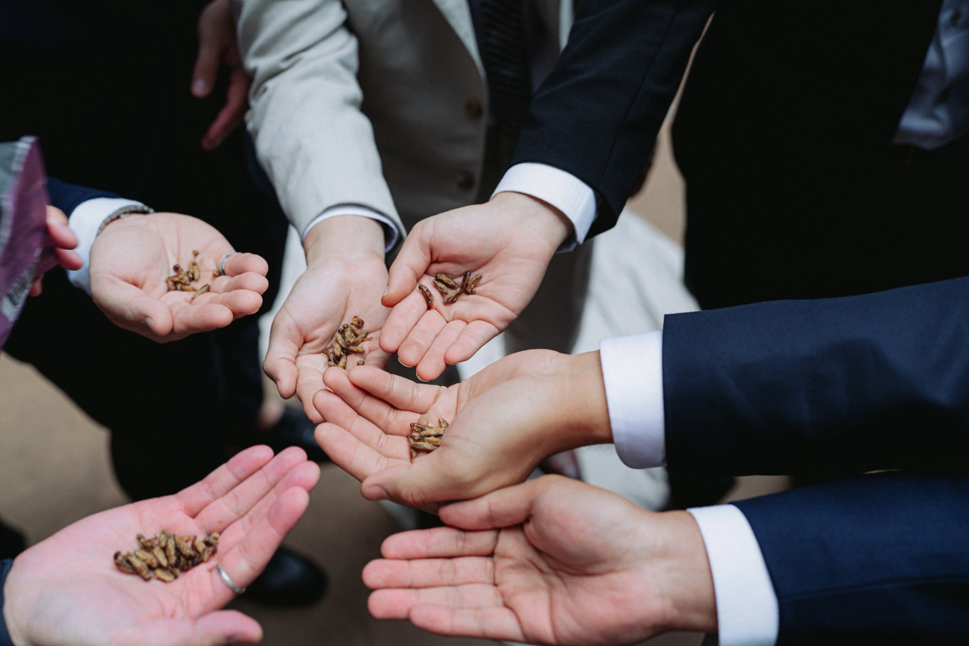 E & D wedding photo 12