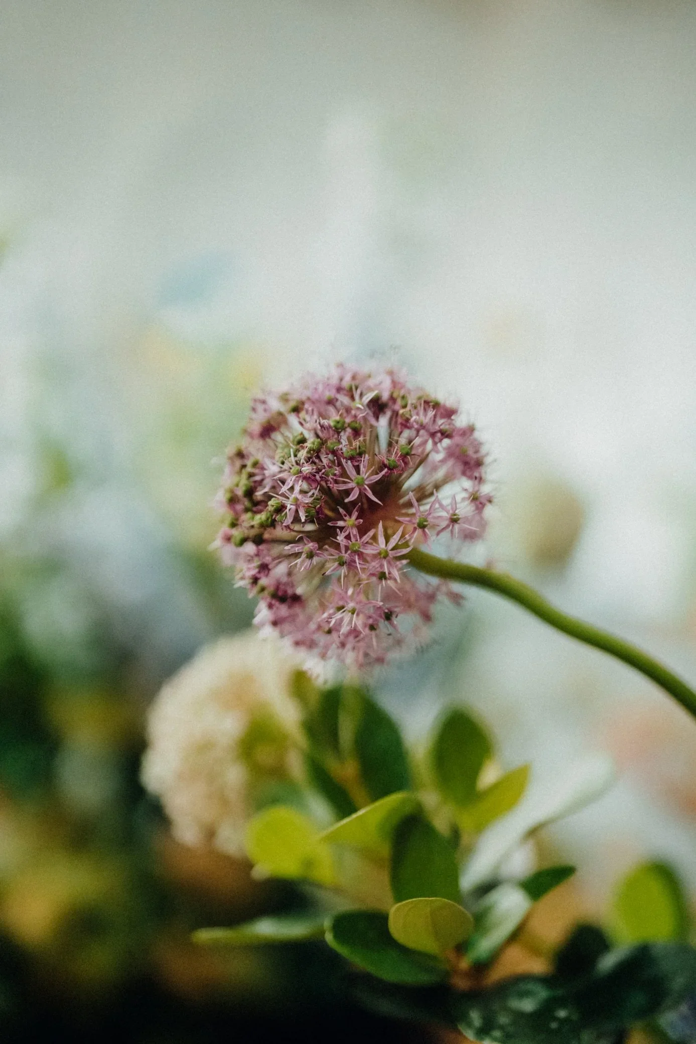 F & D wedding photo 84