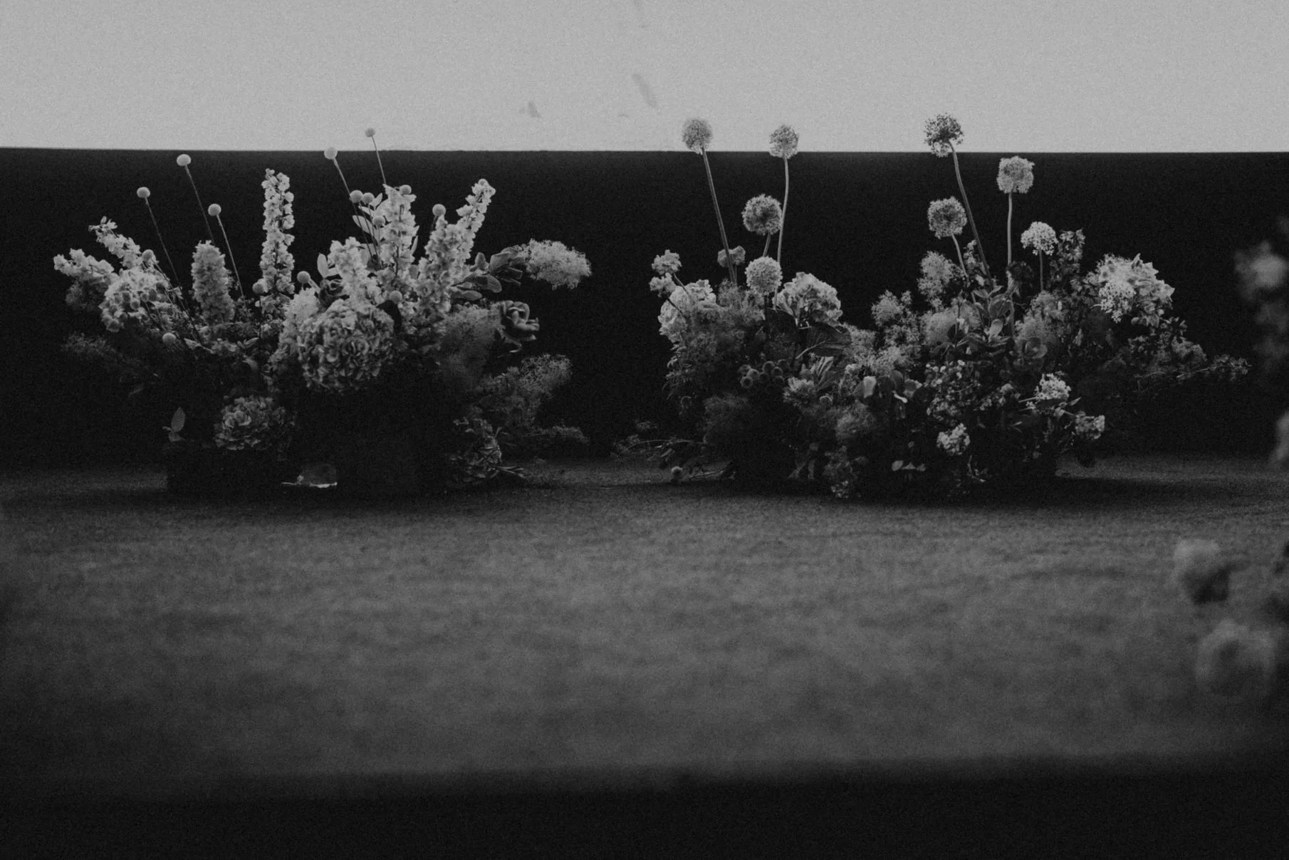 F & D wedding photo 122