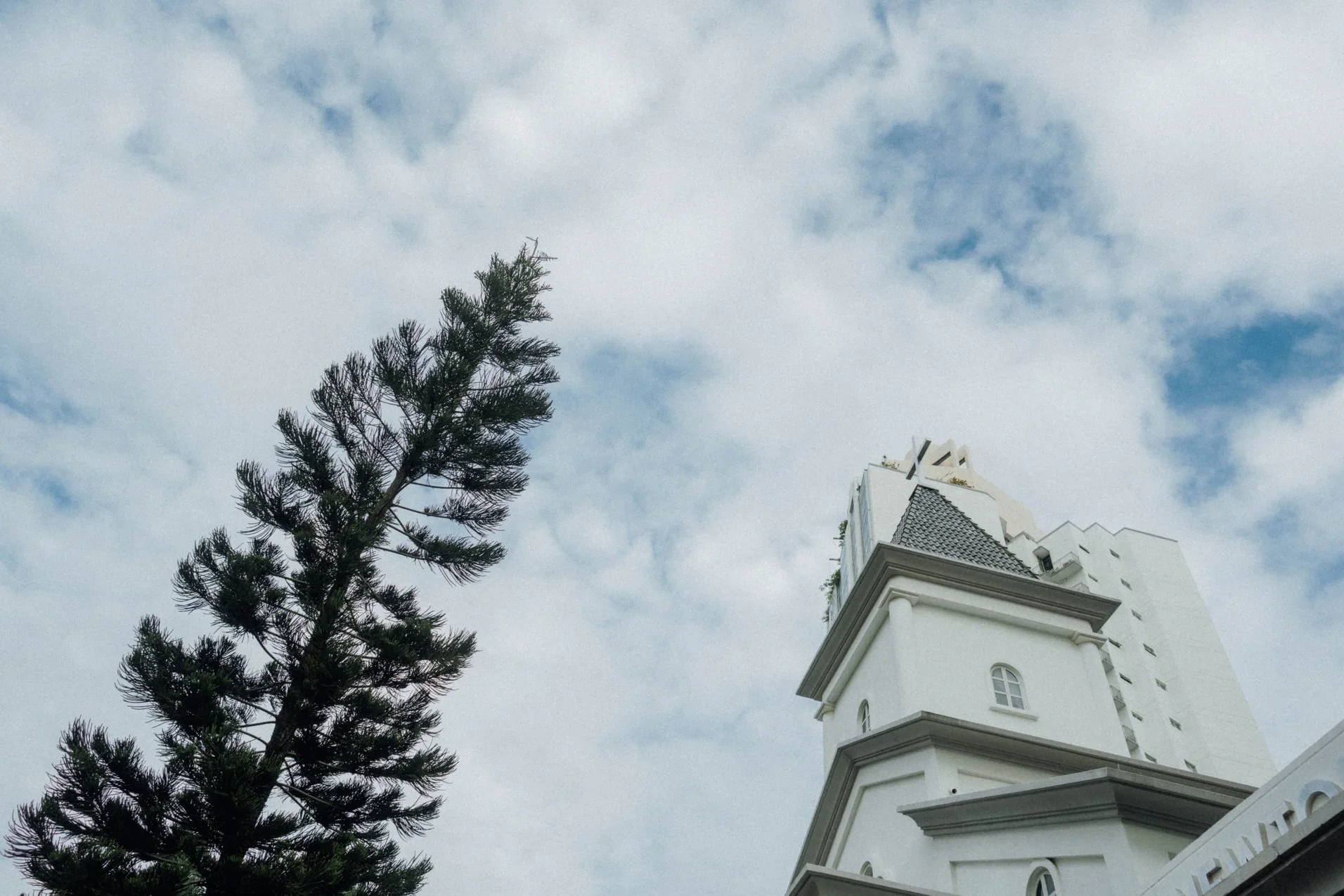 T & M wedding photo 40