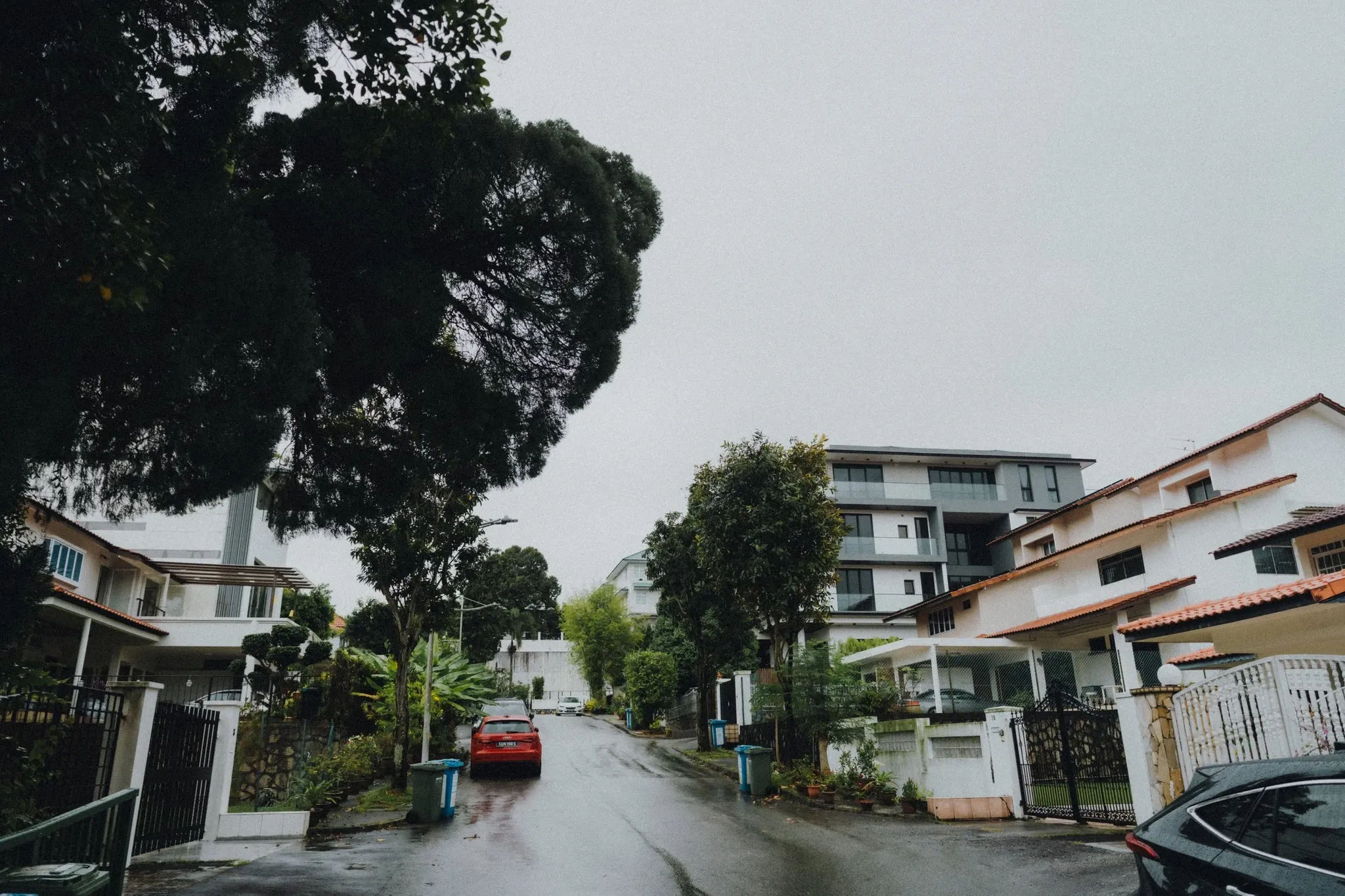 Y & R wedding photo 1