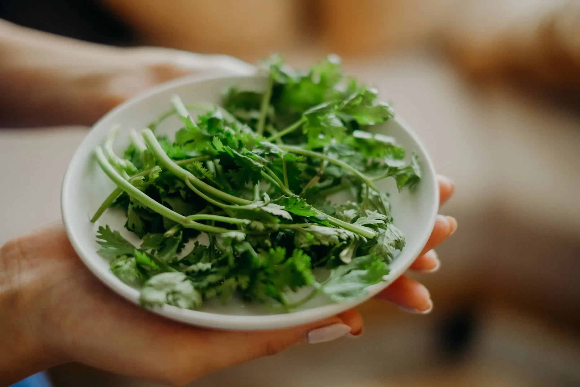 D & W wedding photo 70