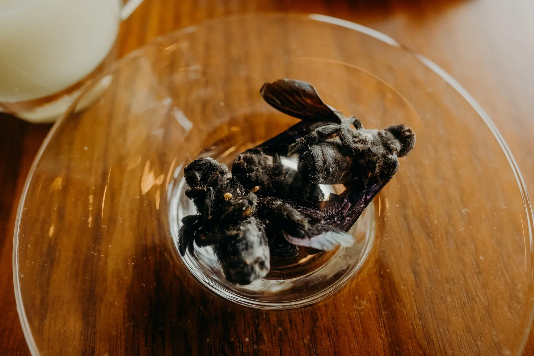 D & W wedding photo 24