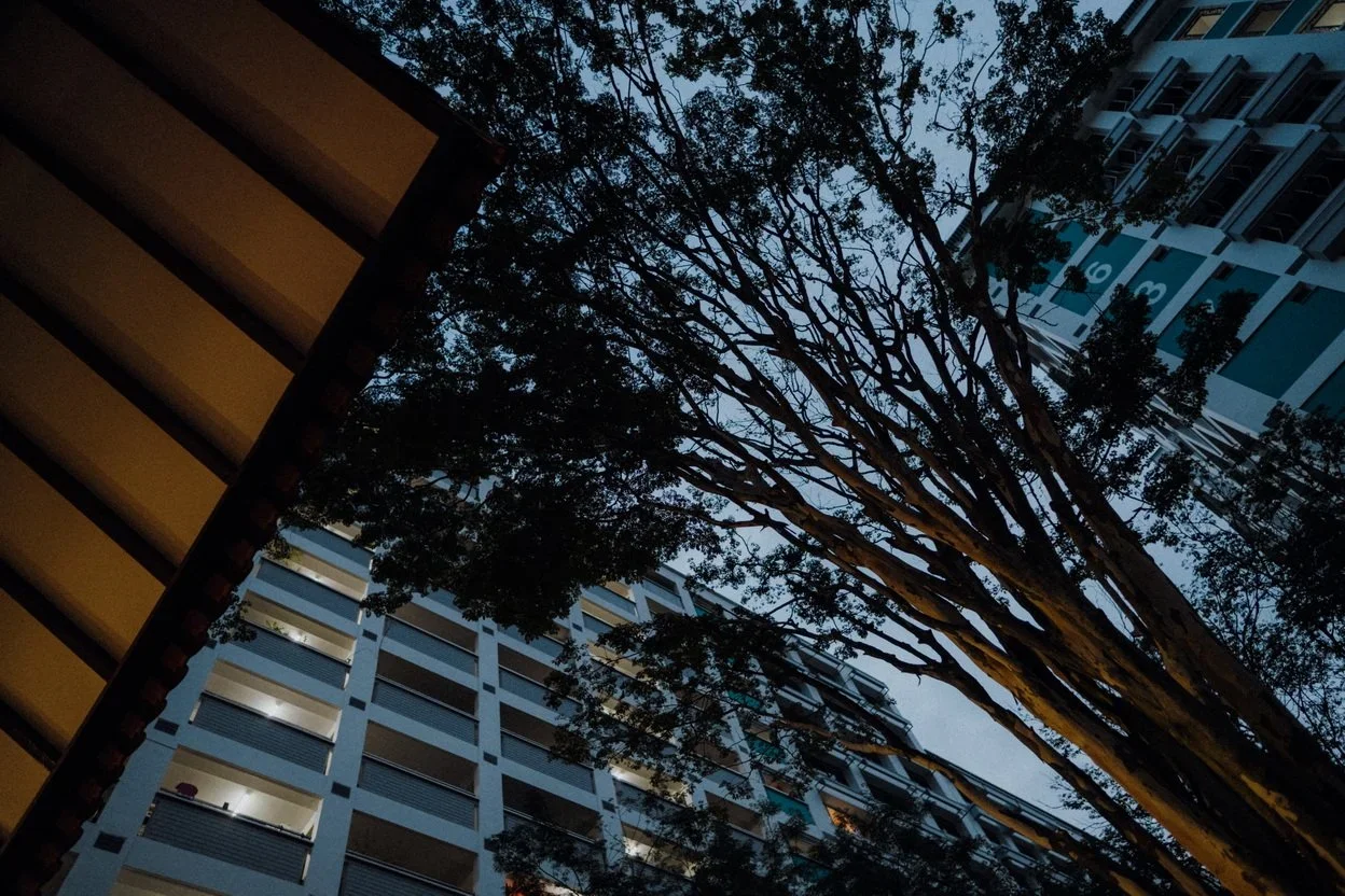 L & M wedding photo 1