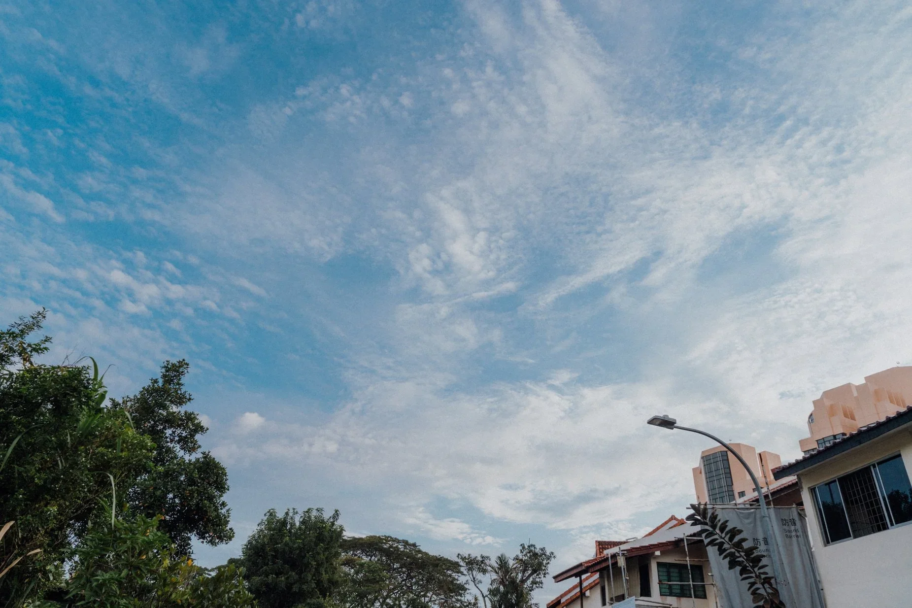 L & W wedding photo 31