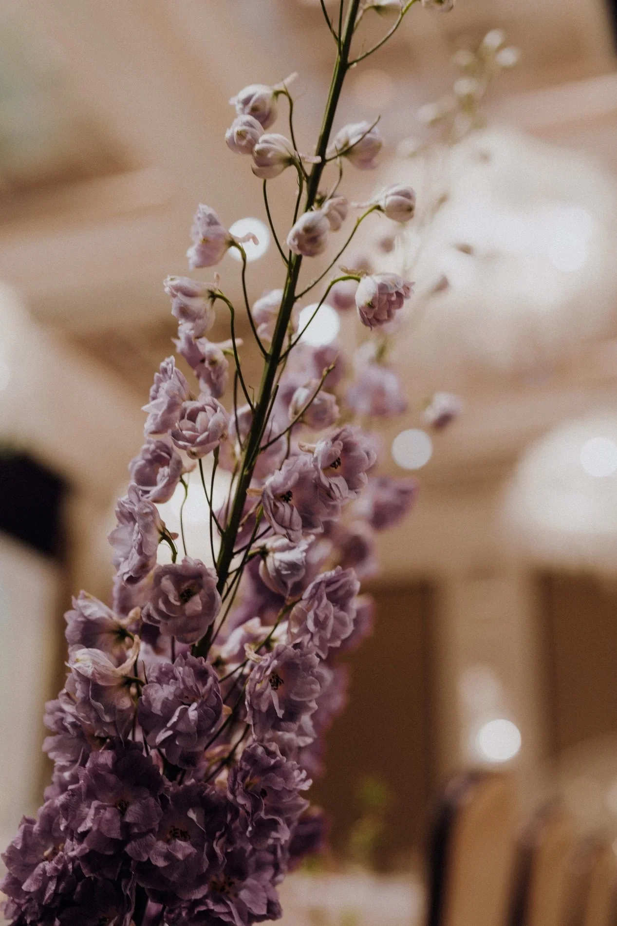 L & W wedding photo 60