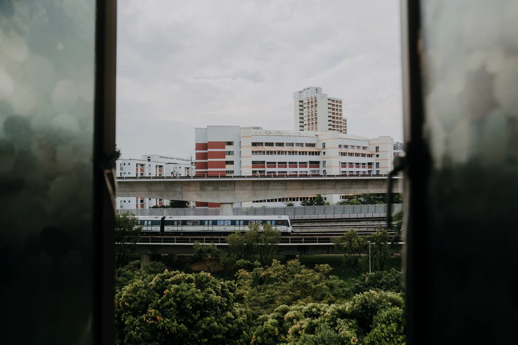 L & H wedding photo 1