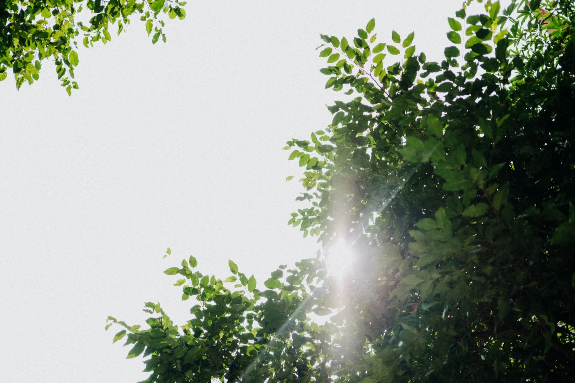 D & J wedding photo 53