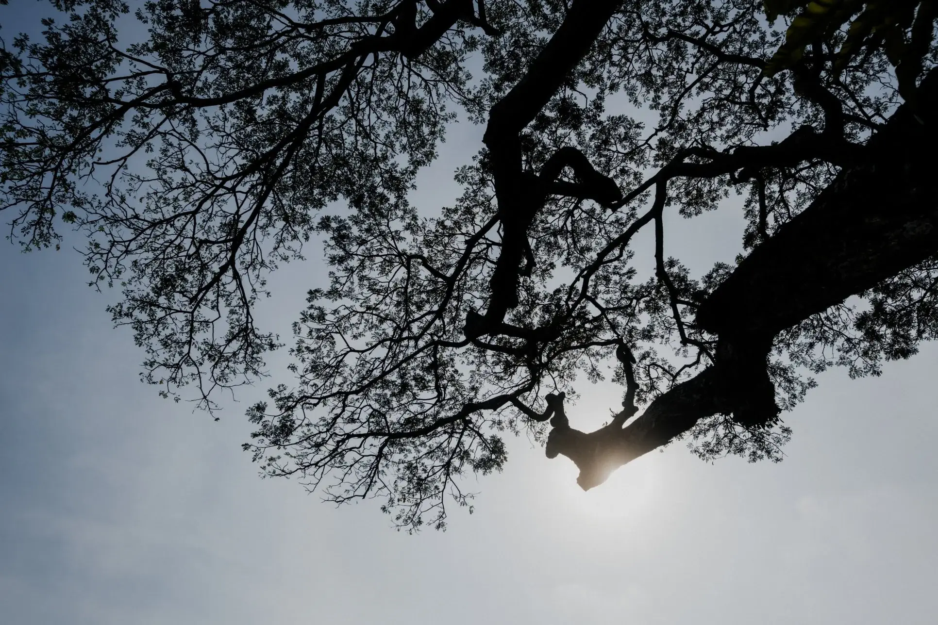 L & K wedding photo 56