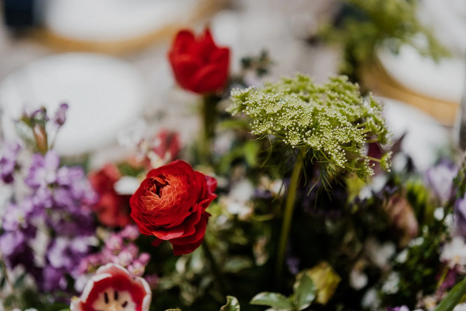 L & K wedding photo 83