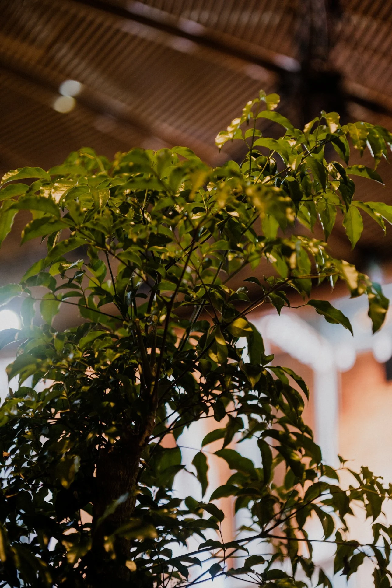 L & K wedding photo 91