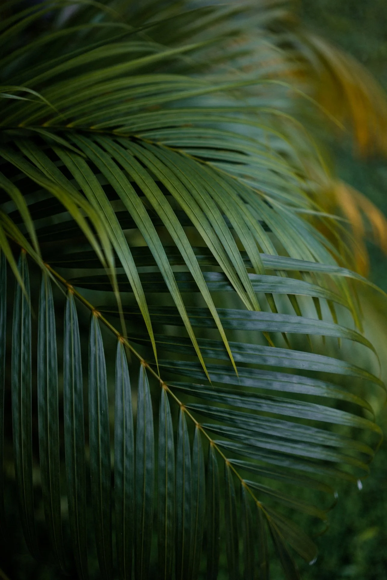 L & K wedding photo 77