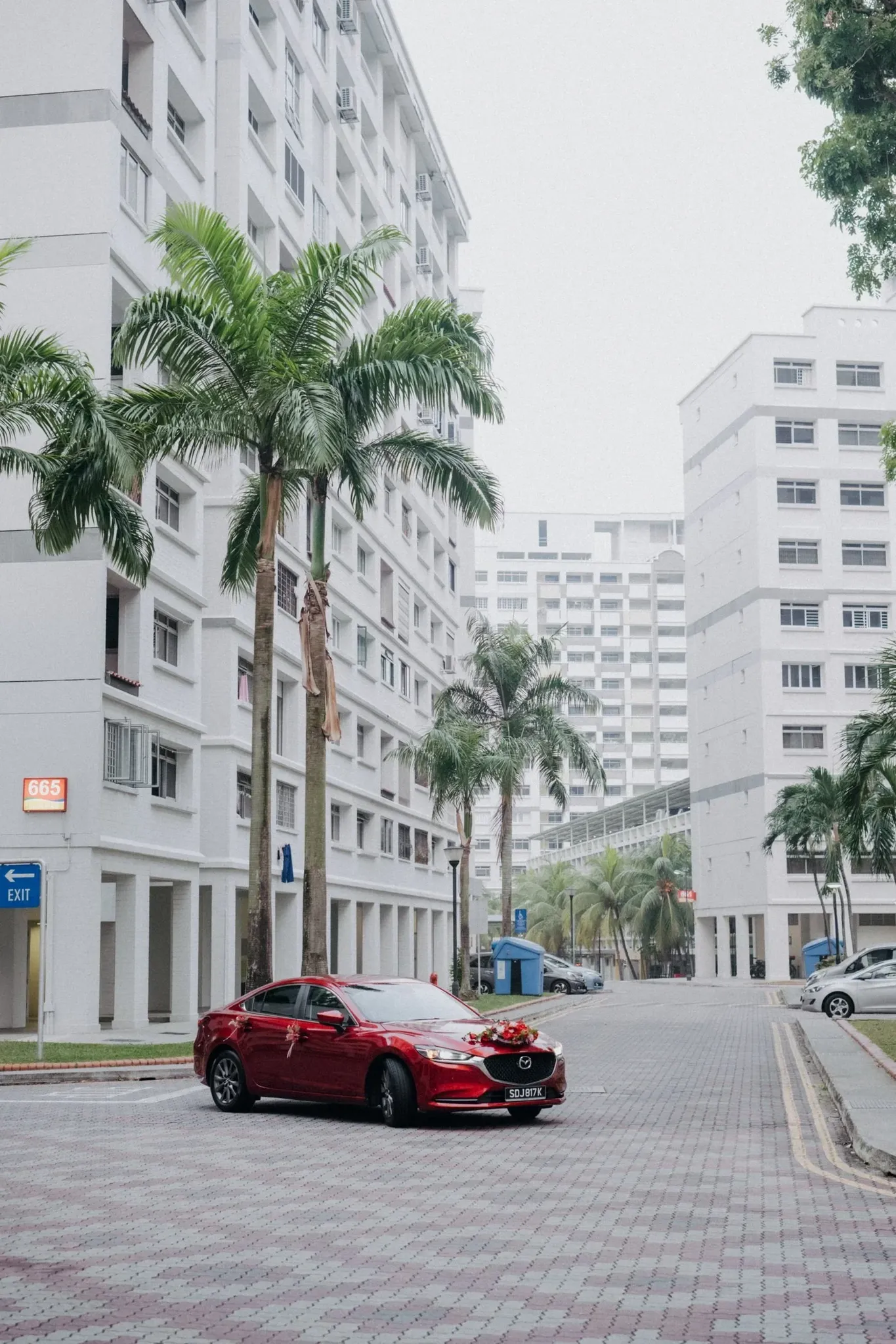 E & D wedding photo 15